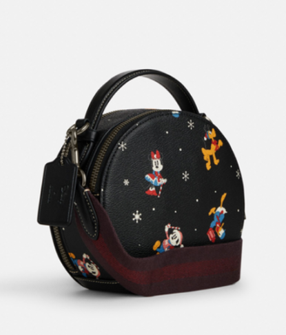 Coach x disney discount bag
