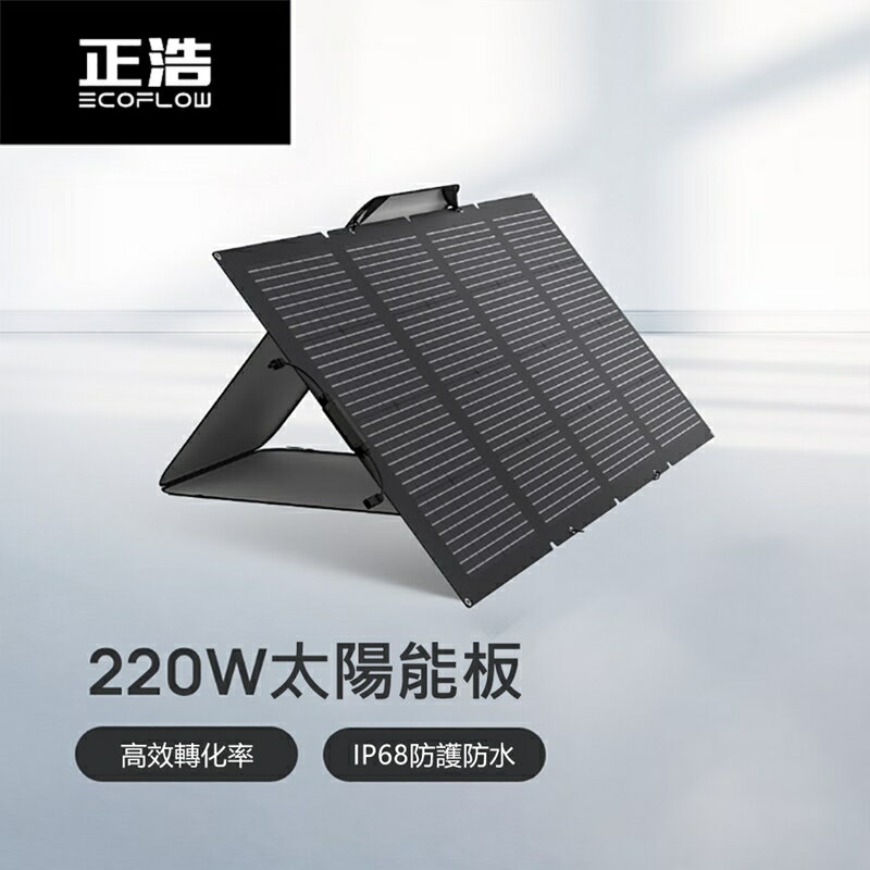 【預購】EcoFlow 正浩 220W 雙面便攜太陽能板【App 4%回饋】