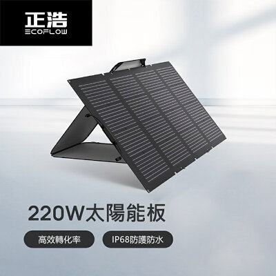 【預購】EcoFlow 正浩 220W 雙面便攜太陽能板【APP享6%回饋】