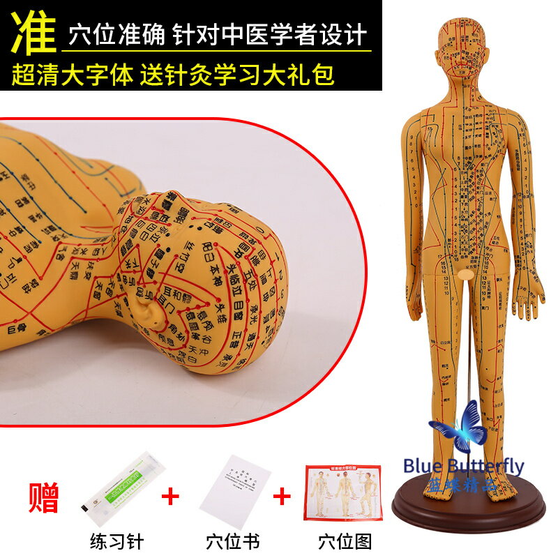 {可打統編 保固一年}針灸人體模型醫用扎針練習小皮人十二經絡穴位圖模特軟膠扎針練習 0