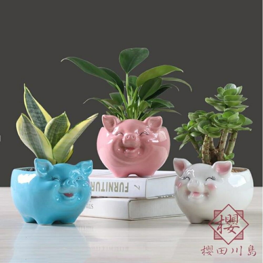 2個裝 花盆簡約卡通多肉花盆陶瓷可愛小豬客廳植物【櫻田川島】