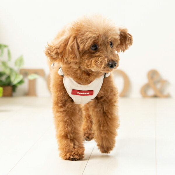 Toto&Pal 輕柔系列小胸背