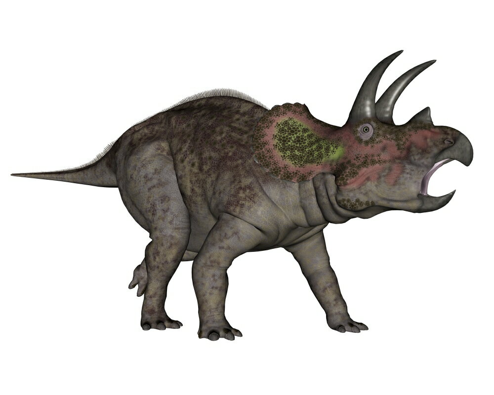 dinosaur like triceratops no horns