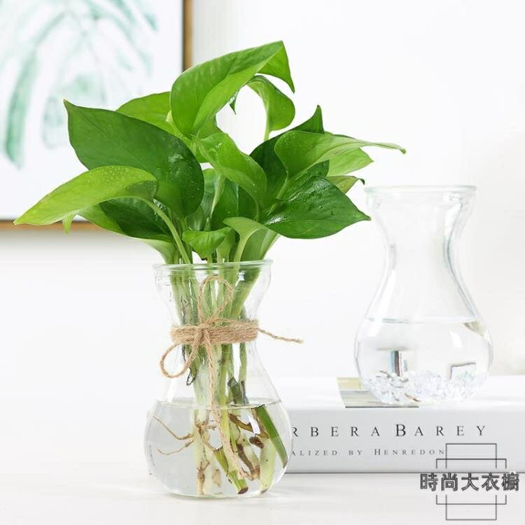 ❀樂天優選好物❀ 6個裝 花瓶花盆透明水養綠蘿插花瓶簡約玻璃【極有家】