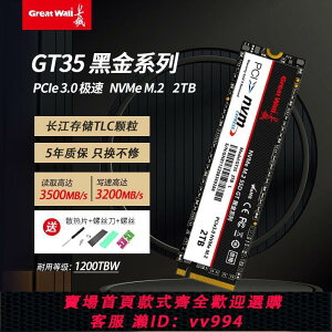 {公司貨 最低價}長城GT35 1T 2T長江儲存512G M.2 NVMe SSD 固態硬盤高速 PCIE3.0