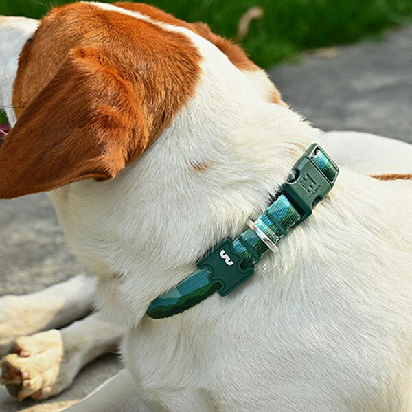 【VitalWave 元氣光波】漸變山海系列 頸圈 (寵物項圈 寵物頸圈)