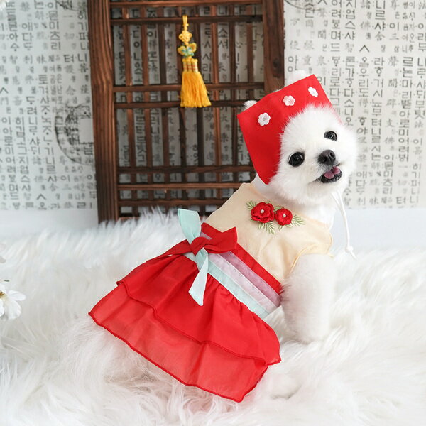 韓國【ParisDog】可愛狗狗韓服套裝 (女) (寵物服飾 寵物衣服)