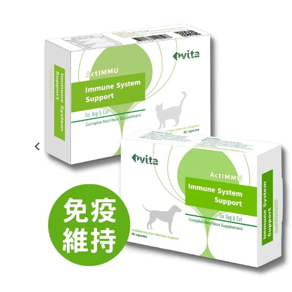 [免運,24HR出貨] IVITA ActIMMU 速藻醣 60顆～免疫維持/腫瘤照護/專利β葡聚醣