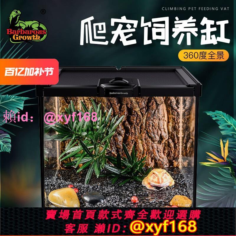 爬蟲雨林缸水陸爬寵守宮飼養箱蜥蜴睫角角蛙寄居蟹蜘蛛玻璃生態缸
