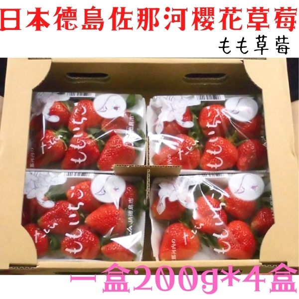 【緁迪水果JDFruit】日本德島櫻花水蜜桃草莓 一箱4盤裝【免運費】💓熱賣~ 草莓中的特別款送禮首選-日本空運限定
