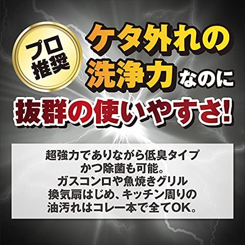 🔥部分現貨🔥日本 RINREI 清潔劑噴霧 700ml 居家 萬用 廚房 浴室 臥室 油污 水漬 清潔劑 大掃除【小福部屋】 1