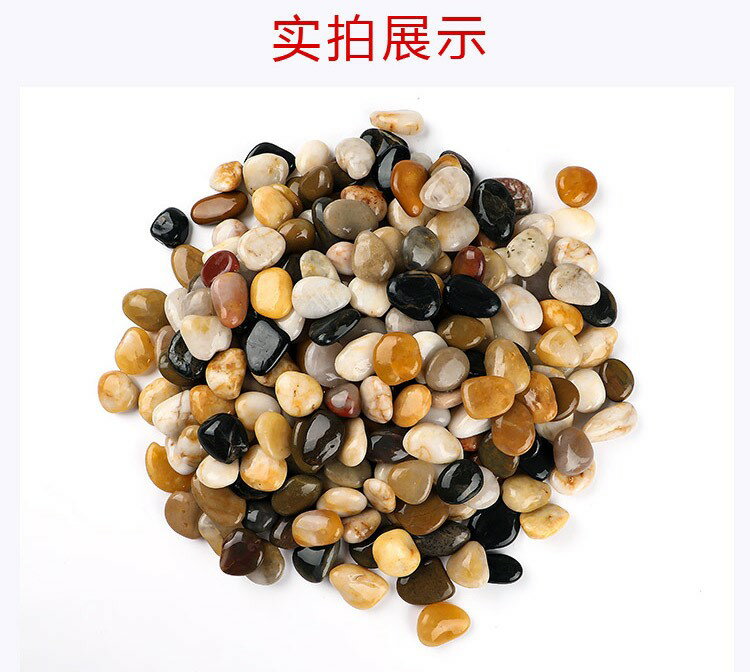 鋪面石鵝卵石雨花石天然白石子魚缸花盆鵝軟石裝飾盆栽園藝石頭子 8