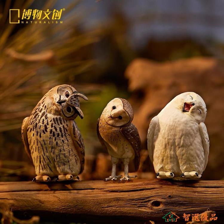 模擬鳥 裝飾品歪貓頭鷹模型 模型 擺件小鳥動物擺件工藝品 交換禮物 快速出貨