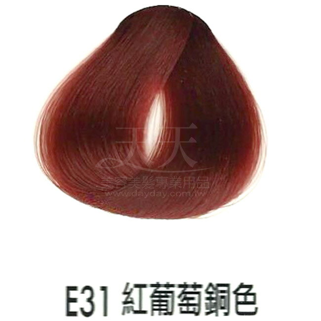 耐婷 亮彩染髮劑 E31-紅葡萄銅色60g [73048] ::WOMAN HOUSE::