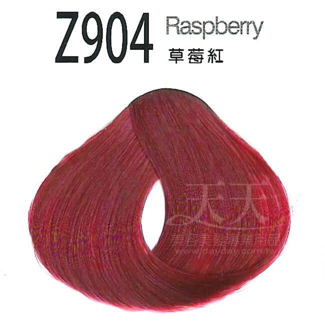 <br/><br/>  審美家 護髮染髮膏 500ml Z904草莓紅 [72193] ::WOMAN HOUSE::<br/><br/>