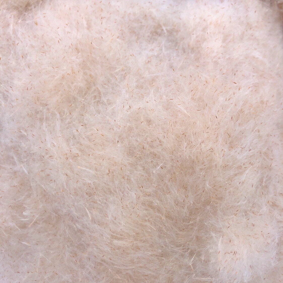 蒲絨 香蒲絨 香蒲 天然原材料 枕頭棉被填充物原料