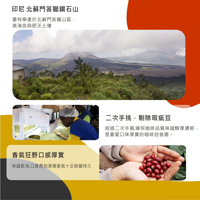 印尼經典國寶曼特寧濾掛咖啡 Sumatra Mandehling   | DALLYN世界嚴選莊園  ★滿299元超取免運 , 滿1500元店家宅配免運★ 6