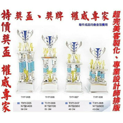 獎盃 獎牌 客製化 訂製各式比賽獎盃皆可承製喔 量多有優惠【大自在運動休閒精品店】