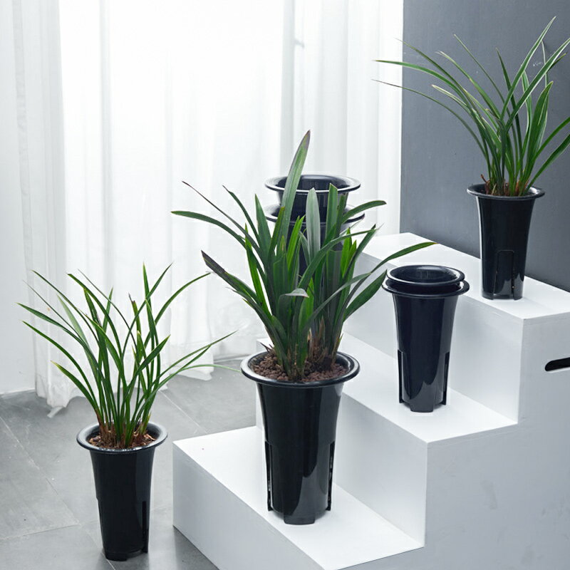 控根型蘭花盆景盆家用室內外黑色加厚透氣花卉專用盆吊蘭塑膠花盆