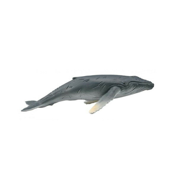 【 COLLECTA 】幼座頭鯨