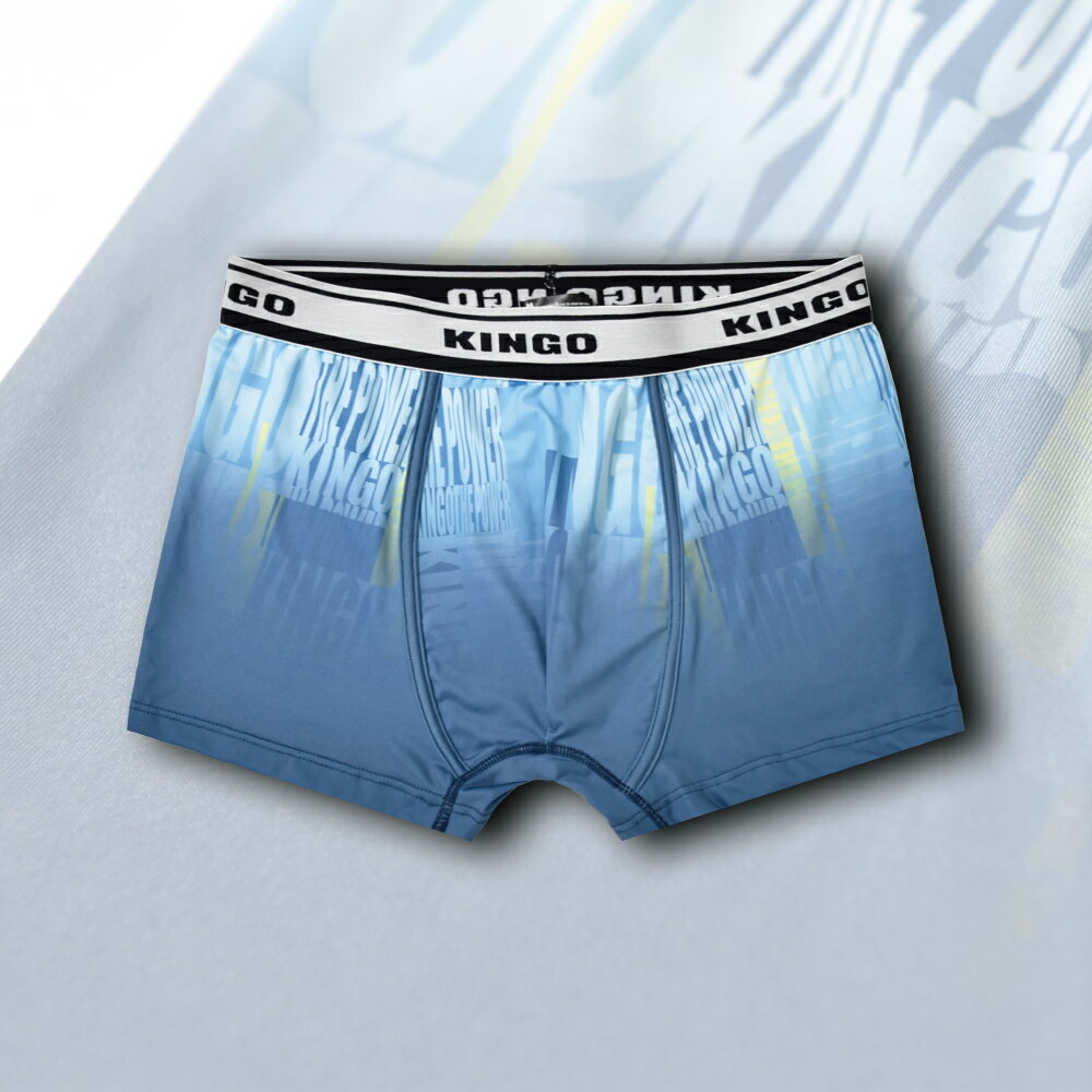 KINGO男款｜快乾涼感合身內褲 /M-XL/ 541923