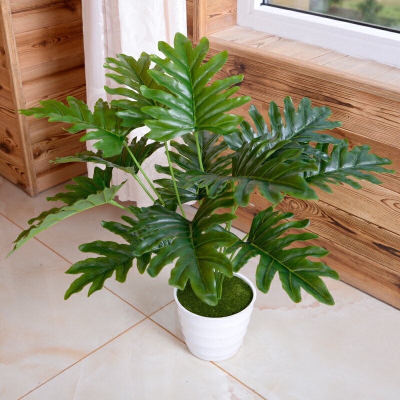 55CM綠植仿真植物盆栽小盆景喜淋芋假樹客廳酒店室內落地裝飾花藝
