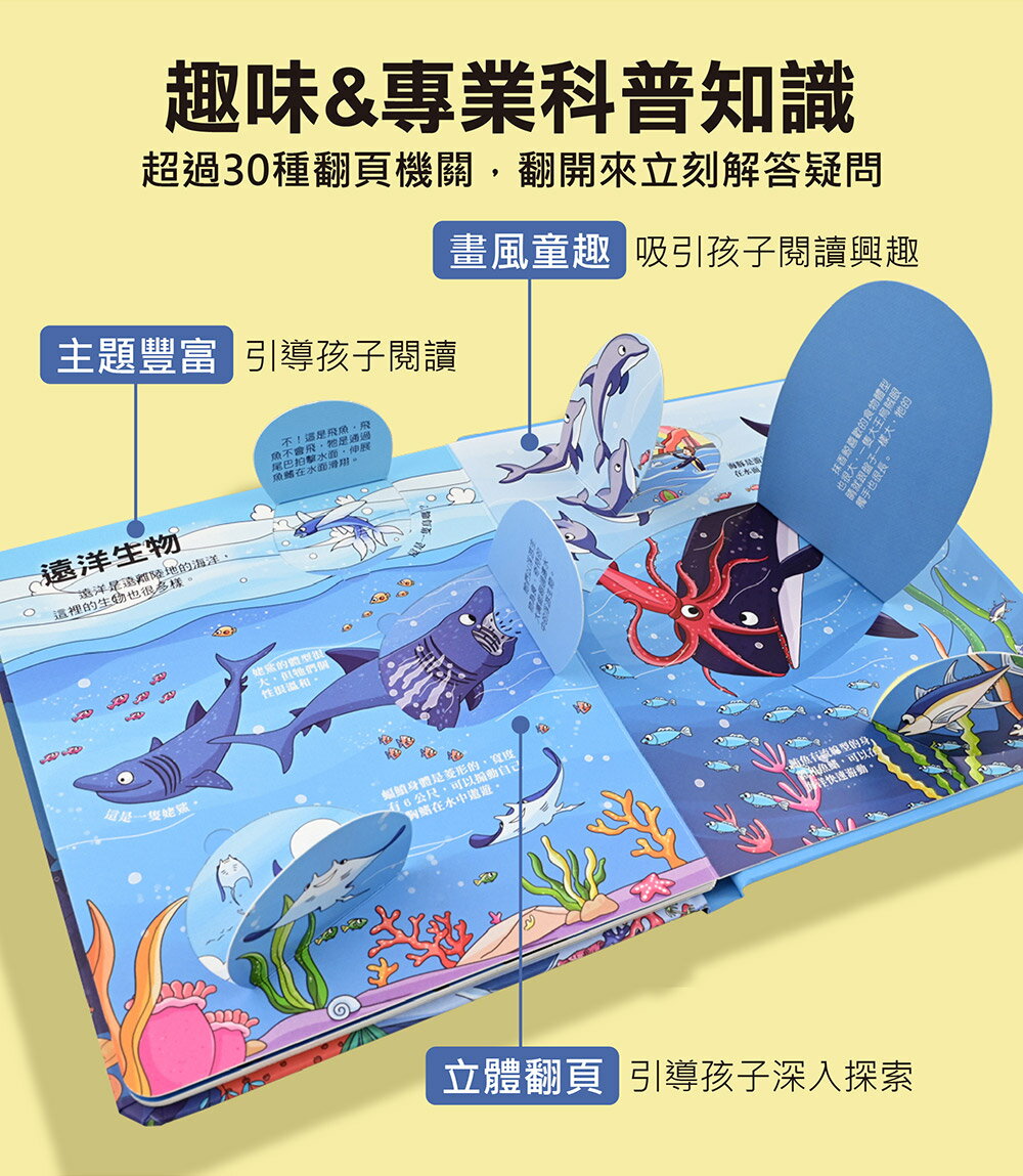 【風車圖書】百問百答圖解翻翻書(全套10冊) 4