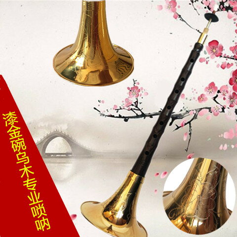 樂器嗩吶 高階演奏精品烏木嗩吶樂器 大GA降BCDE小F調式齊全刻花漆金碗 全館免運