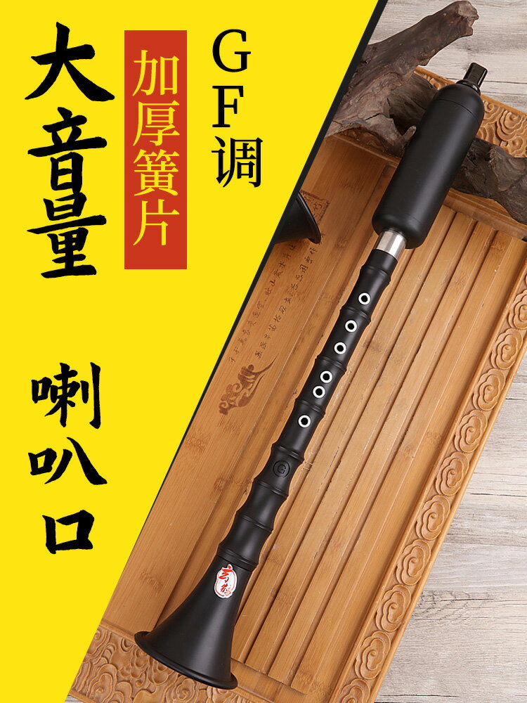 巴烏樂器豎吹成人專業演奏小學生初學入門大音量G/F調 單管樂器