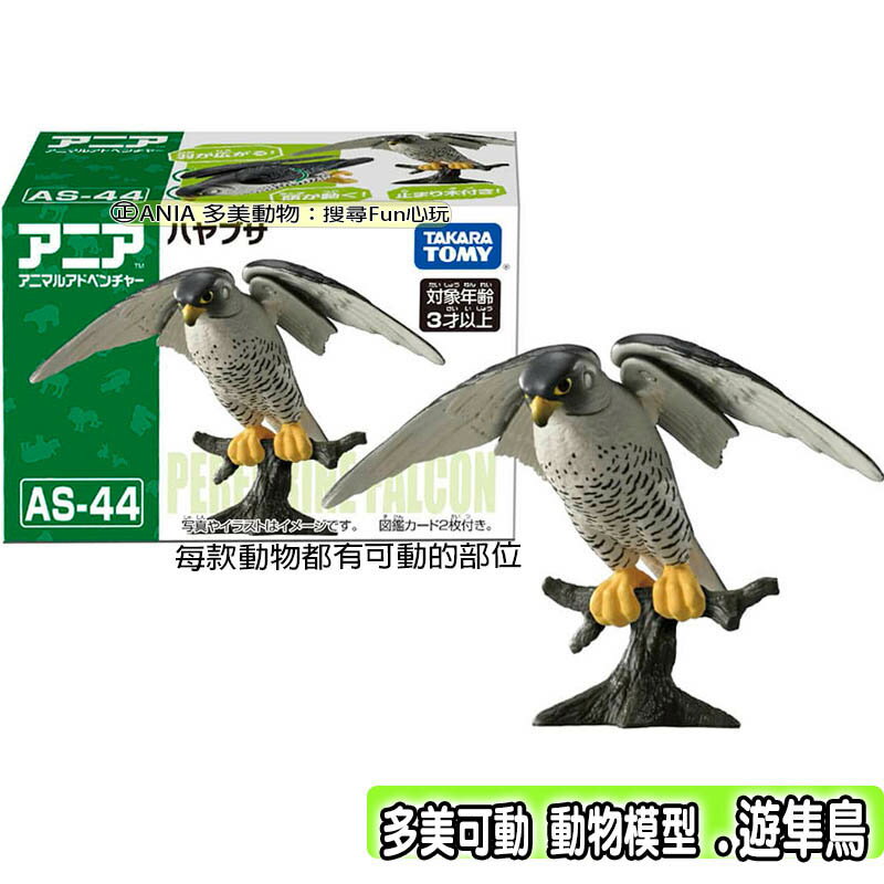【Fun心玩】全新 正版 AN90559 AS-44 遊隼鳥 ANIA 多美動物 可動 動物模型 動物認知 兒童玩具