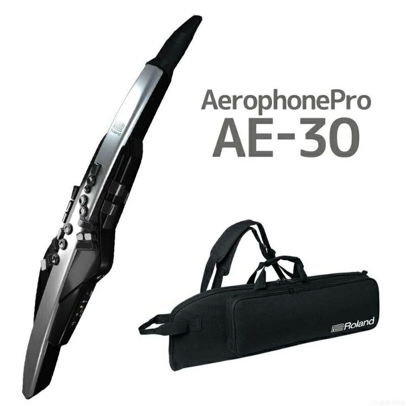 零卡分期免運 Roland AE-30 Aerophone Pro 電子吹管 電子長笛/薩克斯風 AE30【唐尼樂器】