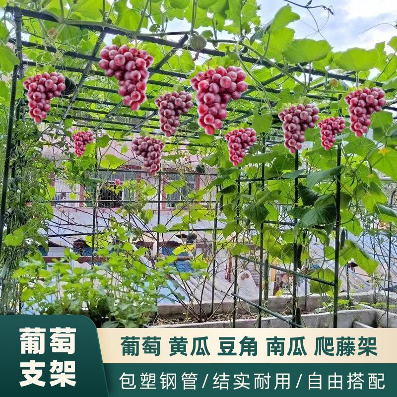 【臺灣公司 可開發票】葡萄爬藤架南瓜架絲瓜葫蘆爬藤架百香果爬藤支架庭院植物支撐桿