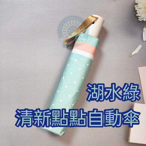 摩登時尚輕量自動傘 三樂雨傘 自動傘 輕量雨傘 抗風 防曬 一鍵開收 輕巧好攜帶 2