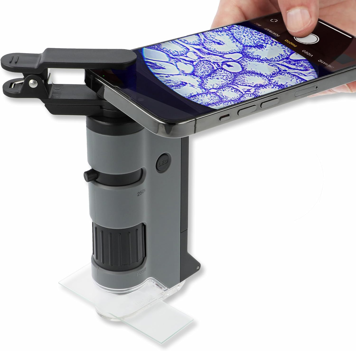 [5美國直購] Carson MicroFlip MP-250 掌上型顯微鏡 含手機夾 100x-250x LED燈 STEM教育 Pocket Microscope