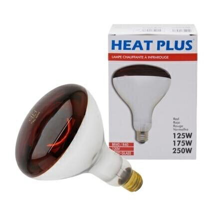 PHILIPS par38 ir red 175w 250W 紅外線溫熱燈泡 寵物保溫 中醫診所用 110V 220V 2