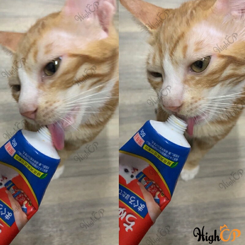 CIAO肉泥膏 貓肉泥膏 Ciao肉泥 管狀肉泥膏 乳酸菌 牙膏肉泥 啾嚕乳酸菌 肉泥膏 管狀【511014】 4