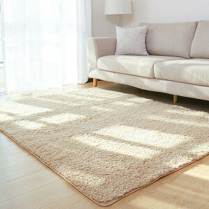 地毯 臥室床邊毯 床前客廳飄窗毯 長方形定制家用地墊長絨毛滿鋪房間