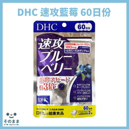 DHC 速攻藍莓 60日份 120粒