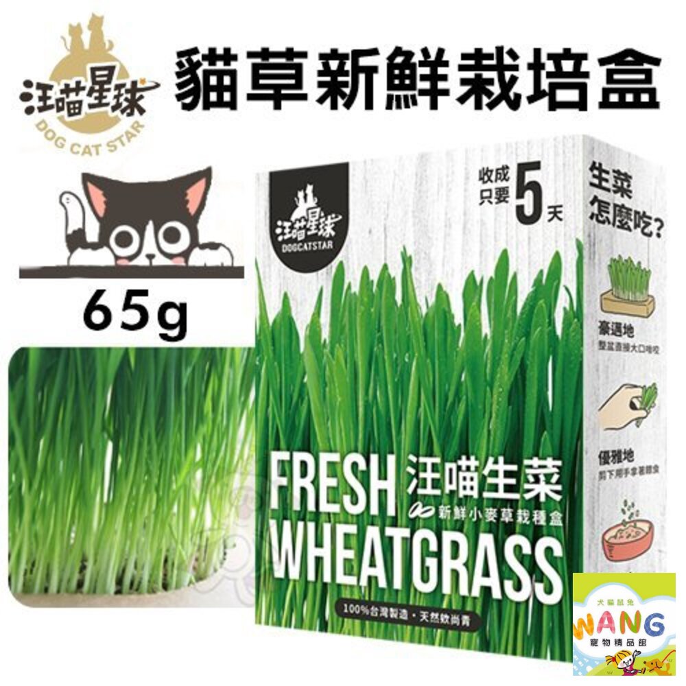 DogCatStar汪喵星球 貓草新鮮栽培盒65g 長超快 5天收成 貓草 貓零食『WANG』【萌寵換毛季★全館399即折 最高現抵483!!】週五10%點數回饋 2