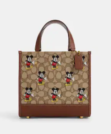 Tote bag 2025 coach disney