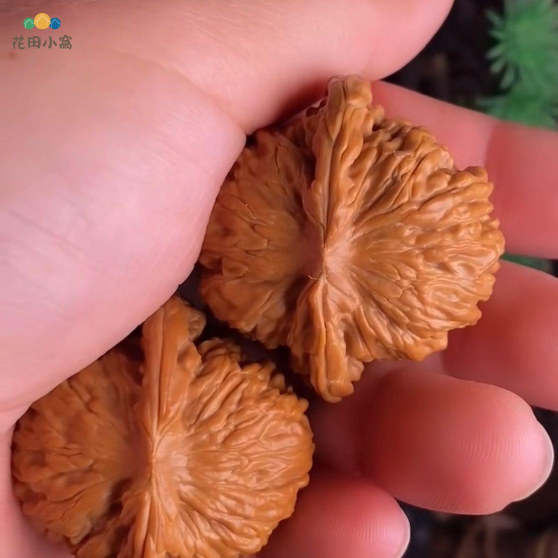 文玩堂：坐佛獅子頭（收藏级核桃） 四座樓文玩老貨精品獅子頭核桃精選國潮文玩核桃精品店入門h711 | 花田