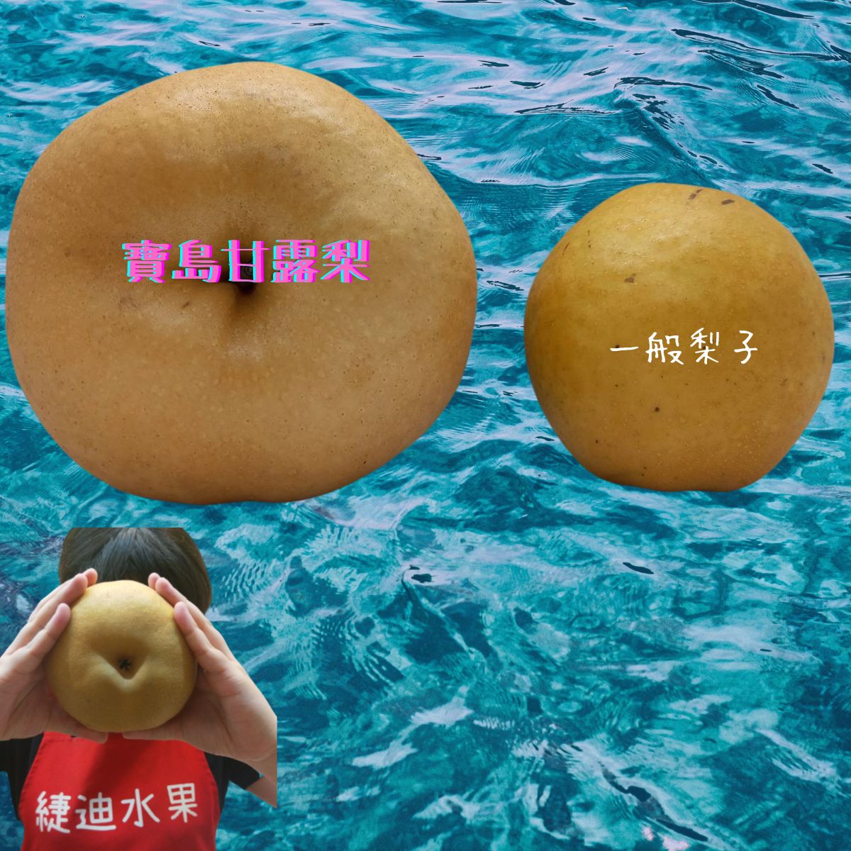 【緁迪水果JDFruit】寶島甘露梨 巨無霸甘露梨 台中東勢緁迪自家甘露梨！台灣小農 l 緁迪水果 l 3