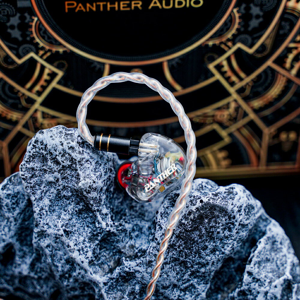 (可詢問訂購)Panther Audio AURA DX4 1動圈 3動鐵 耳道式耳機 台灣公司貨 4