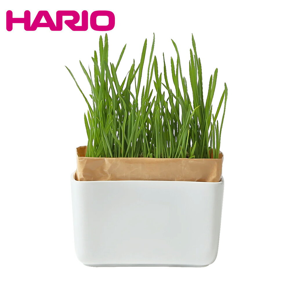《HARIO》喵星人盆栽套組 PTS-NKCN-2P-SH