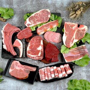 仿真假生肉模型 假牛羊肉卷食物模型假豬肉道具 櫥窗裝飾樣板展示