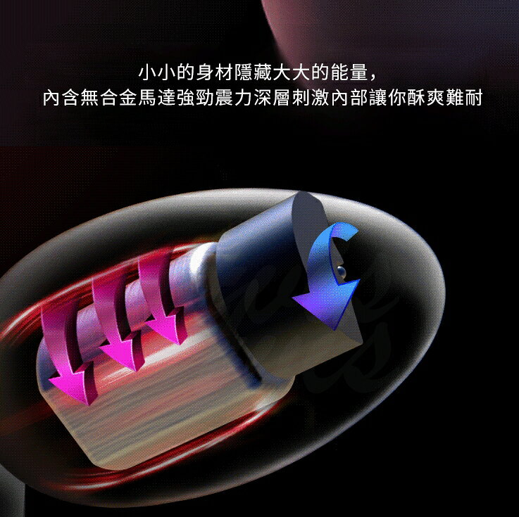 (免運)Lovense hush2 S號 智能前列腺按摩器肛塞 可跨國遙控 | 玩達人MasterToy直營店 | 樂天市場Rakuten