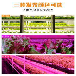 植物照燈 LED植物生長燈管智慧定時花架綠植物多肉全光譜補光一拖二育苗燈【AD4615】