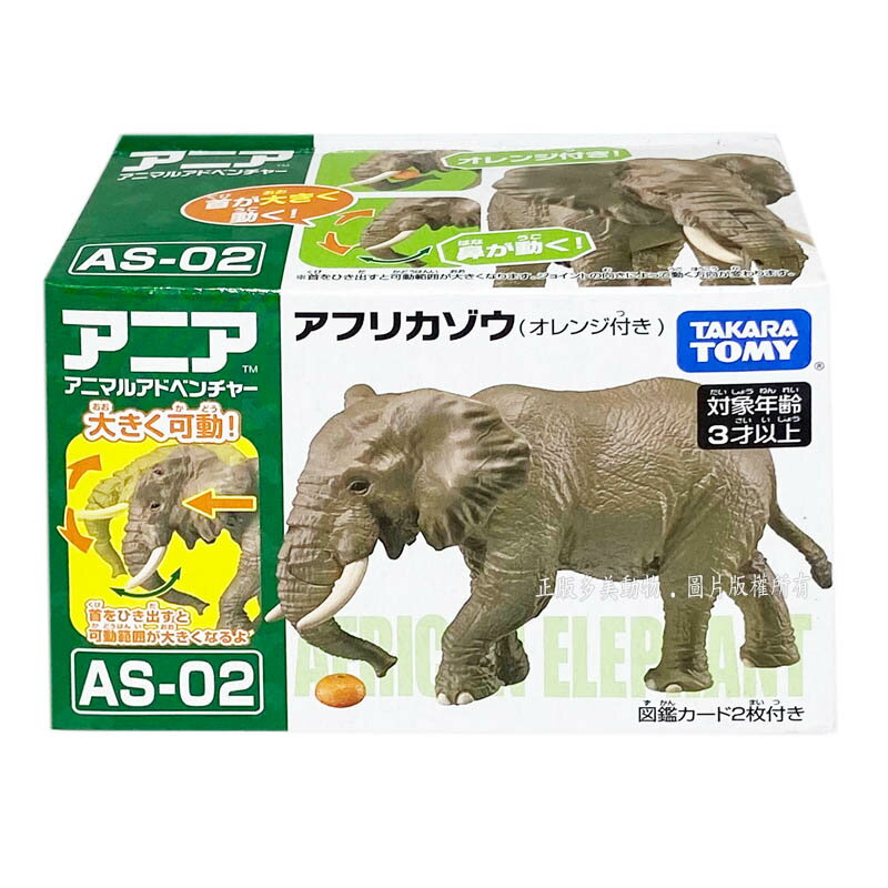【Fun心玩】AN16056 正版 日本 多美 AS-02 非洲象(附橘子) 探索動物 多美動物 可動 動物 模型 禮物