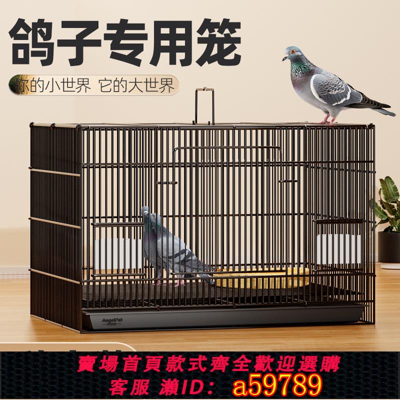 【臺灣公司 可打統編】鴿子籠家用特大號養殖籠新型斑鳩籠子戶外專用專業元寶繁殖配對信