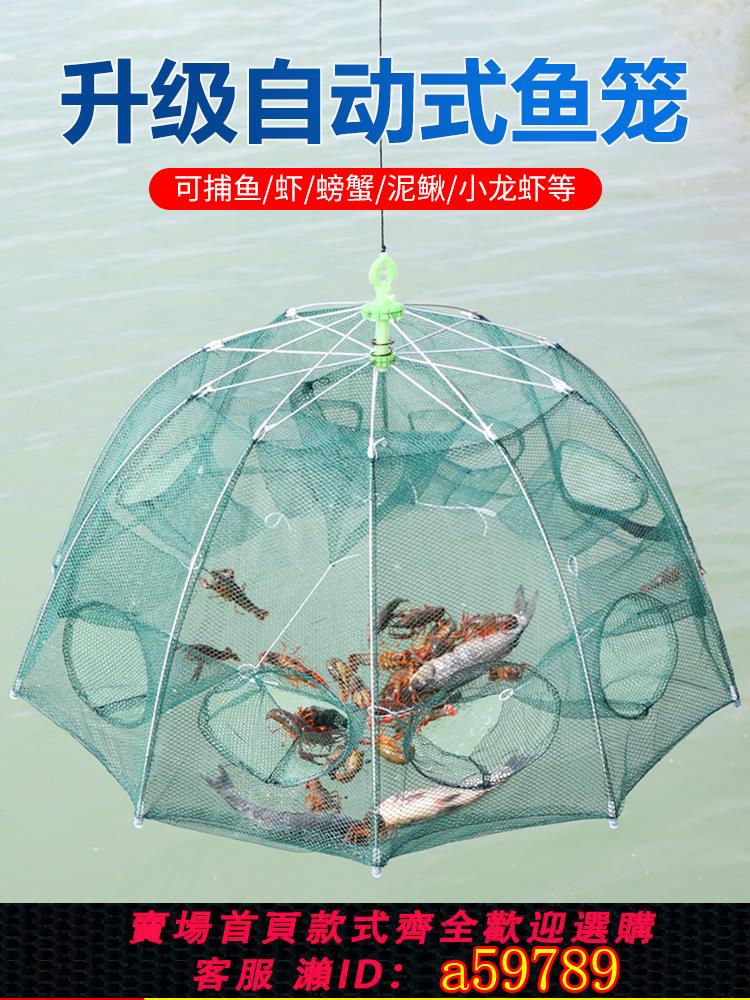 【臺灣公司 可打統編】折疊捕蝦網捕魚籠只進不出黃鱔龍蝦網籠蝦籠花籃魚網漁網抓撲漁具